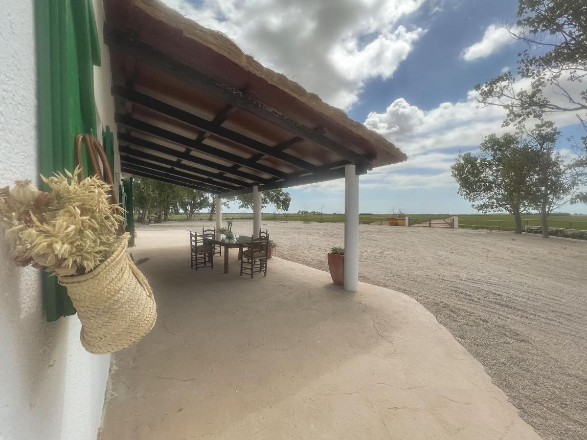 Masia Blanca Deltebre Exteriér fotografie