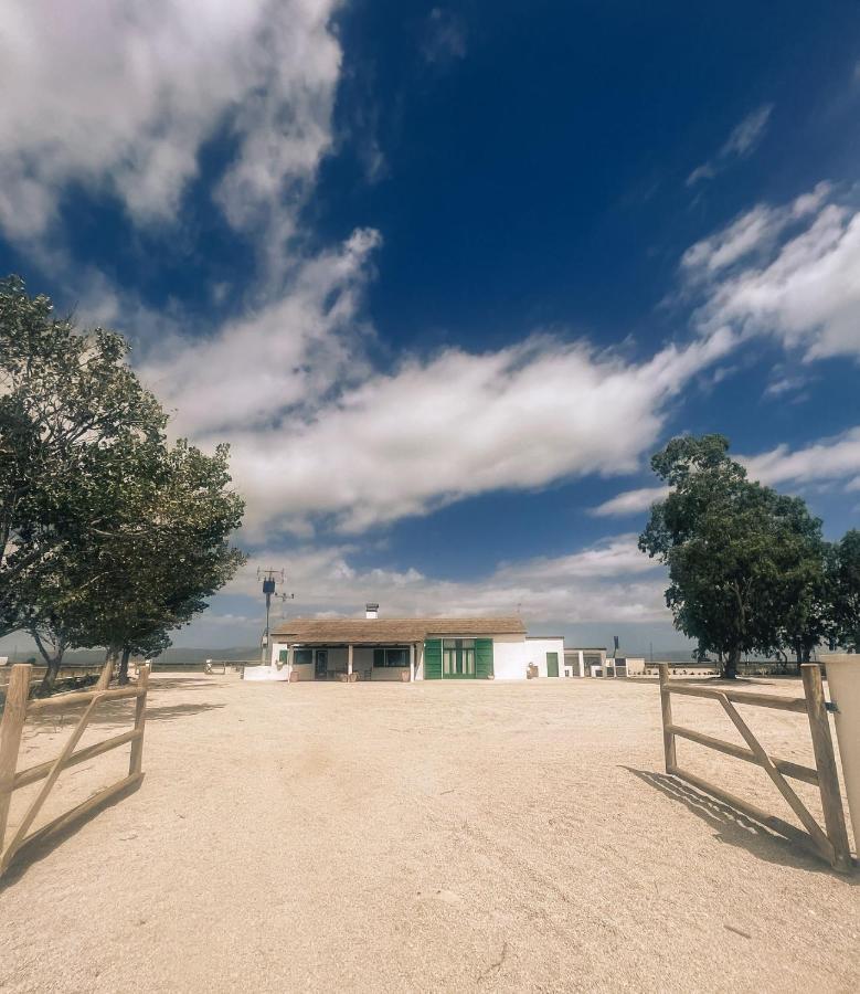 Masia Blanca Deltebre Exteriér fotografie