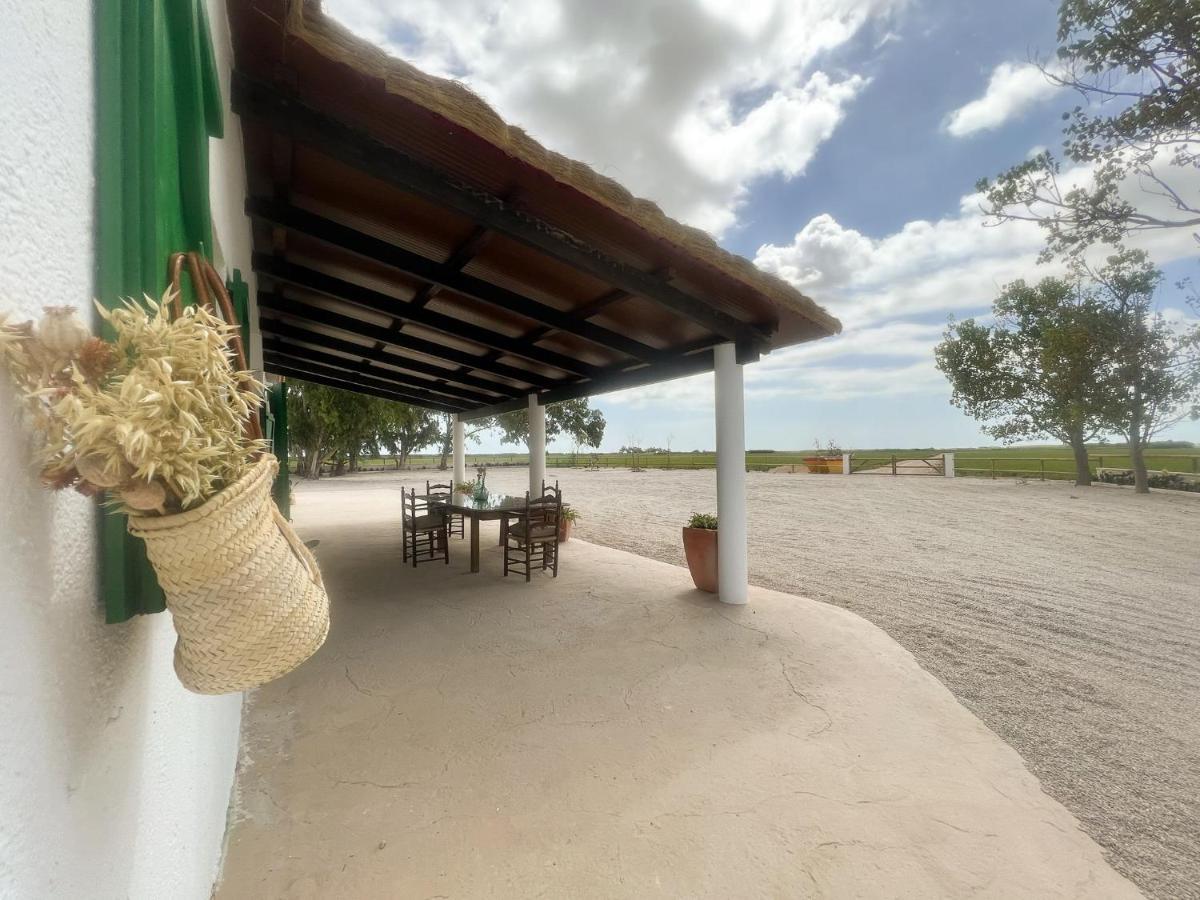 Masia Blanca Deltebre Exteriér fotografie