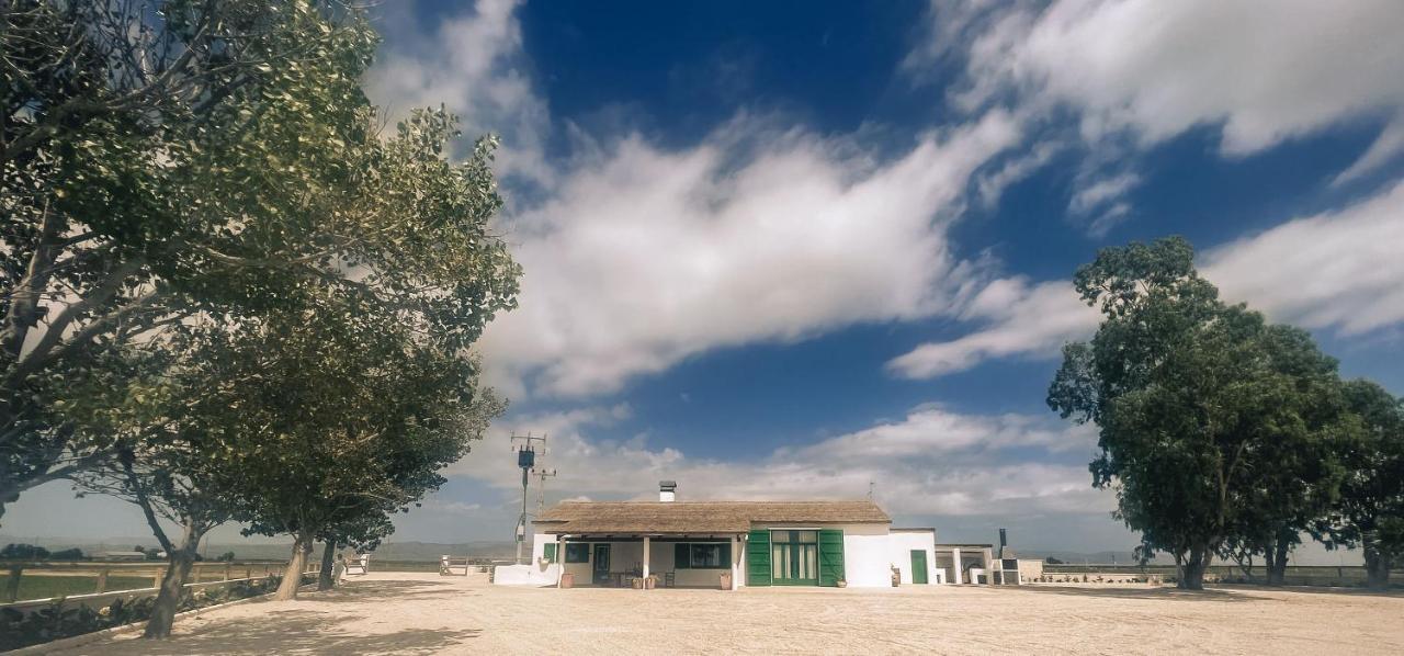 Masia Blanca Deltebre Exteriér fotografie