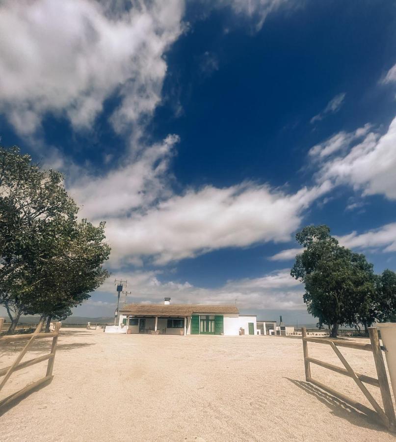 Masia Blanca Deltebre Exteriér fotografie