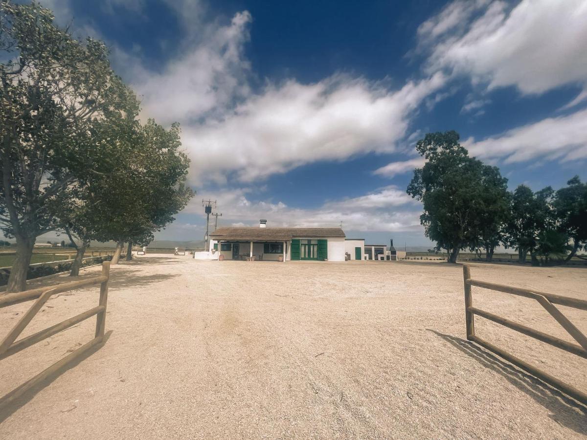 Masia Blanca Deltebre Exteriér fotografie